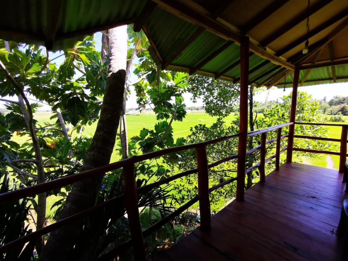 Lake Side View Cabana Tissamaharama Eksteriør billede